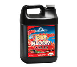 Big Bloom 1 gal. (4 L)