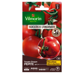 Tomate Pépite HF1 (Création Vilmorin) (à grappe) (Succès du Jardinier)