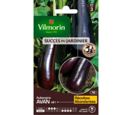 Aubergine Avan HF1 (Création Vilmorin) (Succès du Jardinier)
