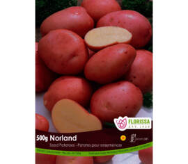 Pomme de terre Norland (Paquet de 2 kg)