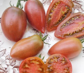 Tomate italienne Ukrainian Purple Biologique (Semences)
