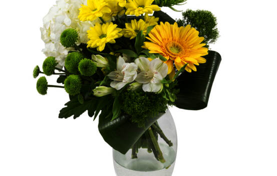 Bouquet Mimosa