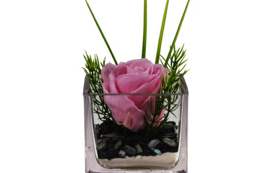 Arrangement &Eacute;ternel ros&eacute;