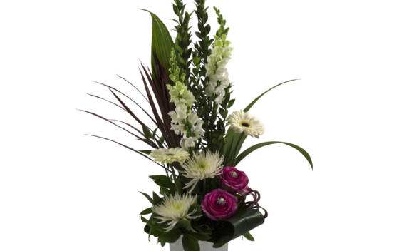 Arrangement Rose Ballet