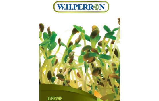 Germe de Luzerne Biologique (Semences)