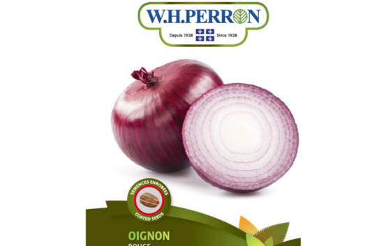 Oignon Rouge (Semences enrob&eacute;es)