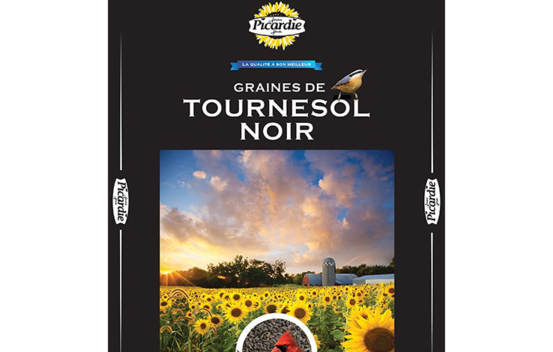 Tournesol noir 2 kg