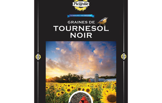 Tournesol noir trait&eacute; 4 kg