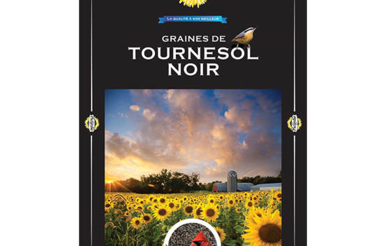 Tournesol noir trait&eacute; 8 kg