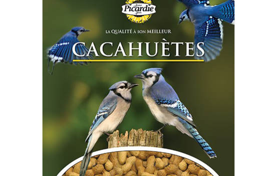 Cacahuètes traitées 2 kg