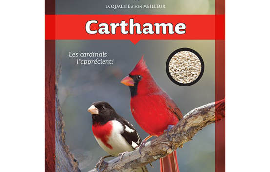 Carthame 2 kg