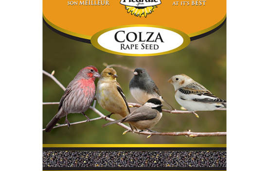 Colza 2 kg
