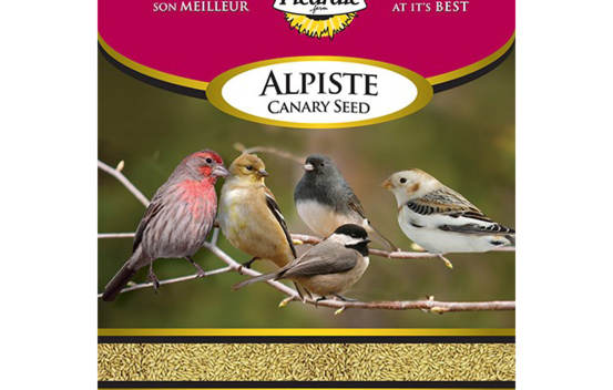 Alpiste 22.7 kg