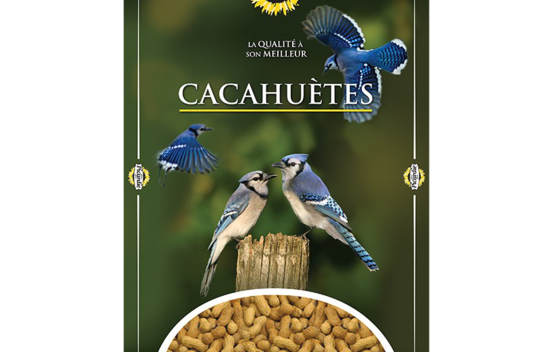 Cacahuètes traitées 10 kg