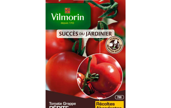 Tomate Pépite HF1 (Création Vilmorin) (à grappe) (Succès du Jardinier)