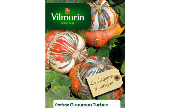Potiron Giraumon Turban (Légumes d'autrefois)