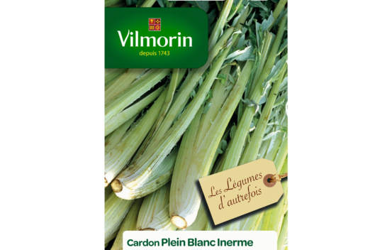 Cardon Blanc Inerme (Format économique) (Légumes d'autrefois)