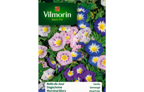 Belle de jour vari&eacute;e