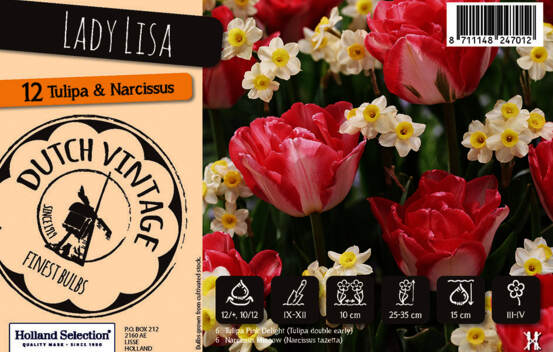 Tulipe et Narcisse Lady Lisa (M&eacute;lange Dutch Vintage) (Paquet de 10 bulbes)