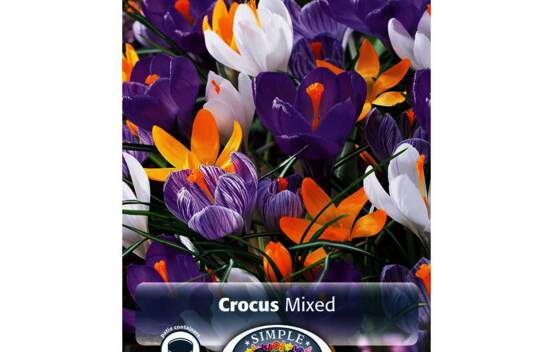Crocus Giant Mix (G&eacute;ant) (Paquet de 15 bulbes)