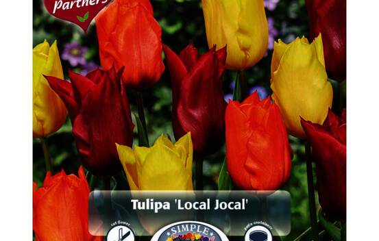 Tulipe Local Jocal (M&eacute;lange Perfect Partners Gift) (Paquet de 16 bulbes)