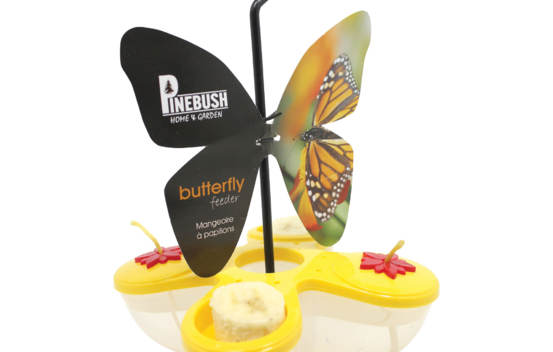 Mangeoire à papillons