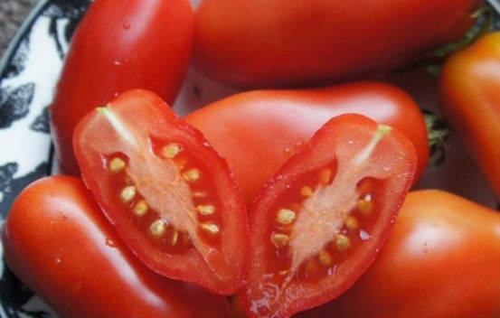 Tomate italienne Dix doigts de Naples Biologique (Semences)