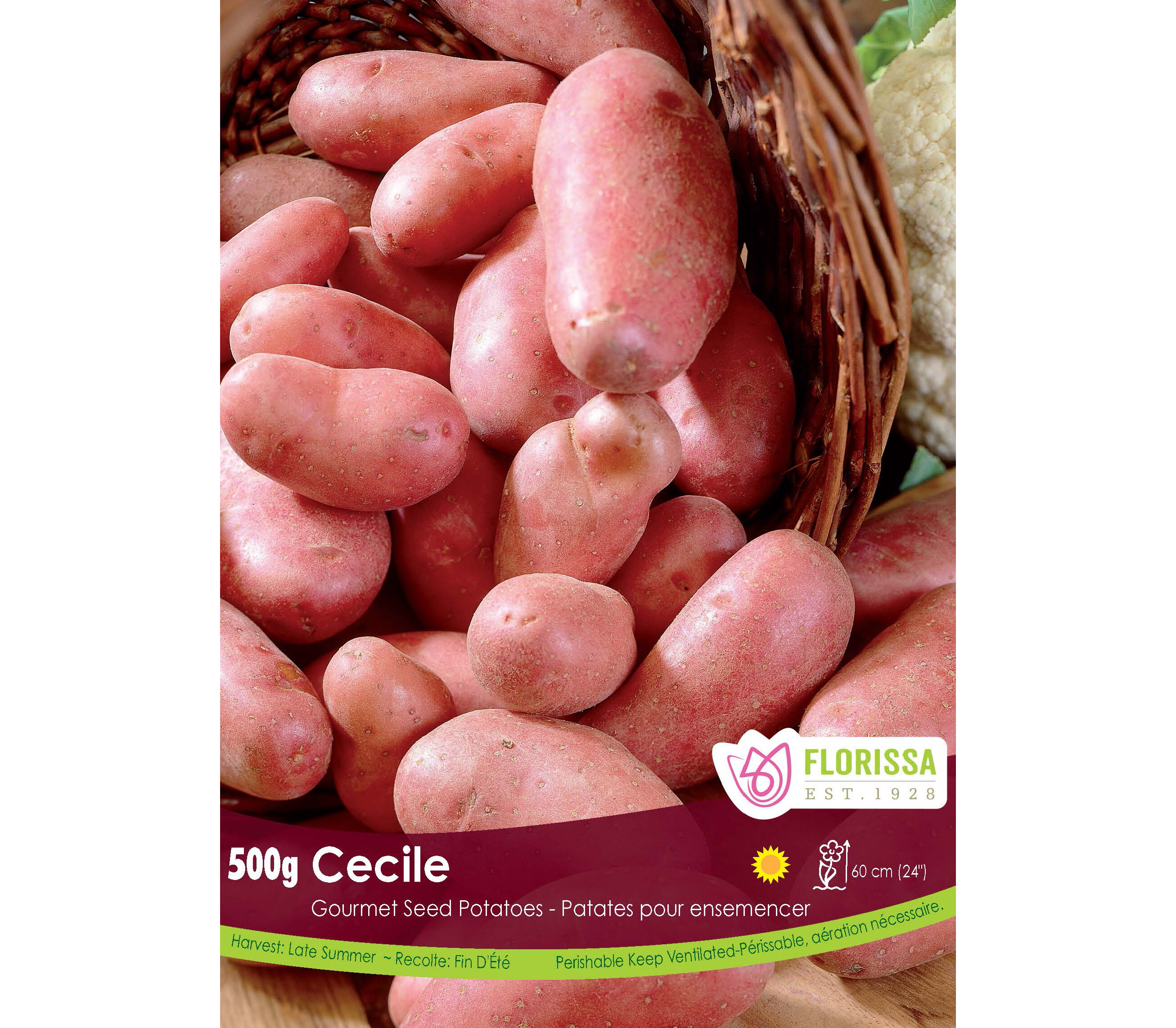 Pomme de terre Cecile (Peau rouge et chair jaune) (Paquet de 500 g