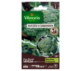 Brocoli Verdia HF1 (création Vilmorin) (Succès du Jardinier)