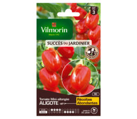 Tomate Aligote HF1 (Création Vilmorin) (Succès du Jardinier)