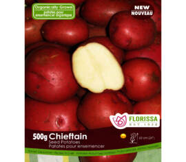 Pomme de terre Chieftain Rouge (Peau rouge et chair blanche) (Biologique) (Paquet de 500 g)