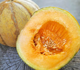 Melon brodé d'Oka Biologique (Semences)