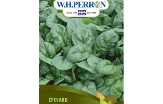&Eacute;pinard (Semences)