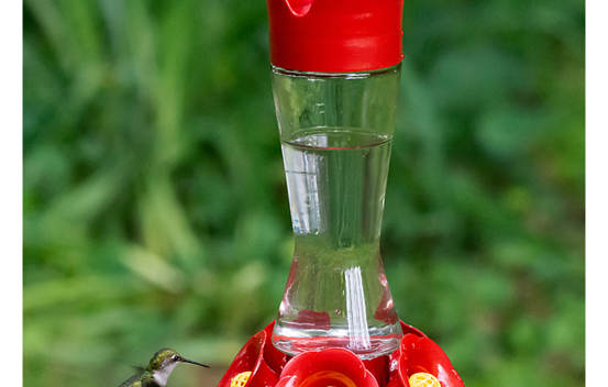 Abreuvoir à colibris en verre Grande taille 16 oz